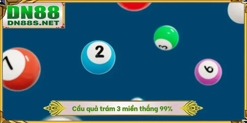 Cầu quả trám 3 miền thắng 99%