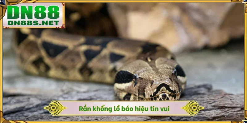 Rắn khổng lồ báo hiệu tin vui